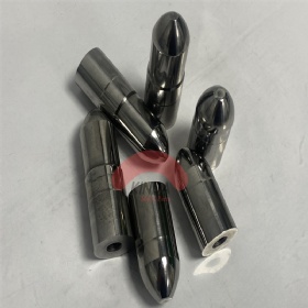 Special punch mold pins with high polished front tip